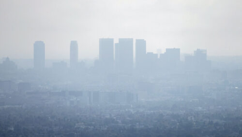 Jak uchronić się przed smogiem?