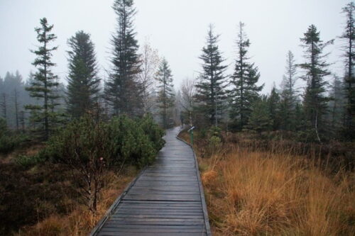 Kładki dla pieszych i rowerzystów – co warto o nich wiedzieć?