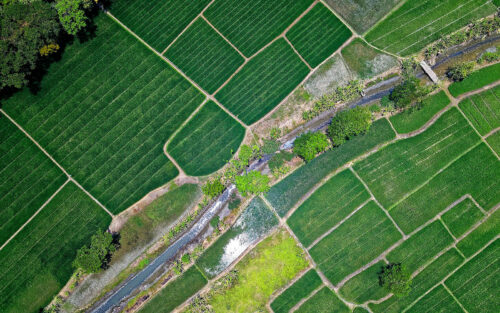 Dozowniki do nawozów i nawadniania – klucz do skutecznej fertygacji